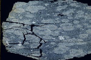 Cross Polarized, S55141