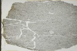 Plane Polarized, S55141