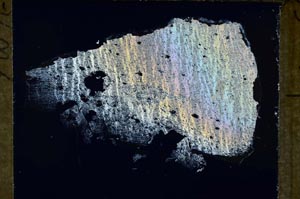 Cross Polarized, S55142