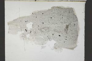 Plane Polarized, S55142