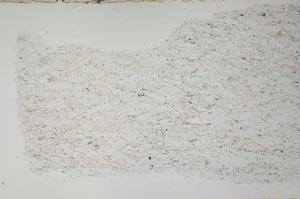 Plane Polarized, S55143