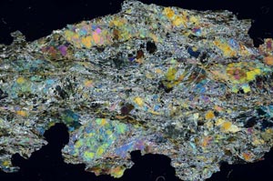 Cross Polarized, S55144