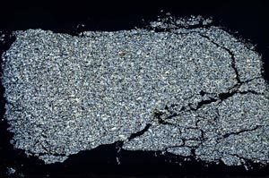 Cross Polarized, S55145