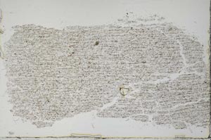 Plane Polarized, S55145