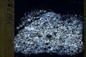 Cross Polarized, S55146