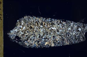 Cross Polarized, S55155