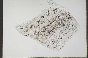 Plane Polarized, S55160