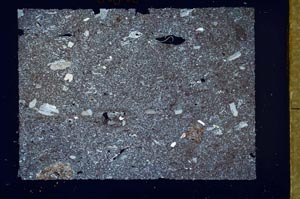 Cross Polarized, S55171
