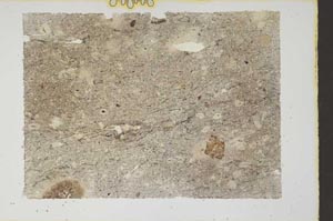 Plane Polarized, S55171