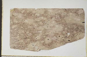 Plane Polarized, S55173