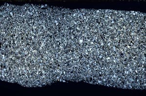 Cross Polarized, S55180