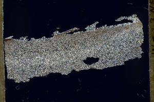 Cross Polarized, S55185