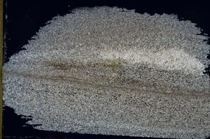 Cross Polarized, S55187/B