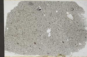 Plane Polarized, S55198