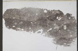 Plane Polarized, S55201