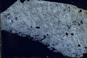 Cross Polarized, S55219