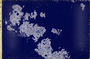 Cross Polarized, S55234
