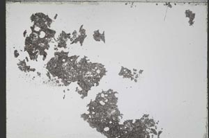 Plane Polarized, S55234