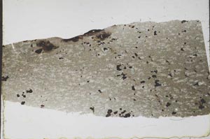 Plane Polarized, S55238
