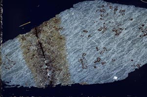Cross Polarized, S55239