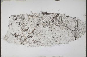 Plane Polarized, S55242