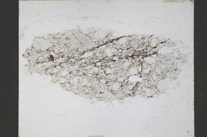 Plane Polarized, S55242/A