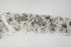 Plane Polarized, S55253
