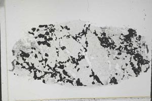 Plane Polarized, S55287