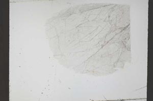 Plane Polarized, S55288