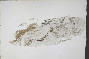 Plane Polarized, S55297