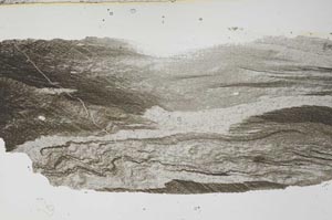 Plane Polarized, S55299