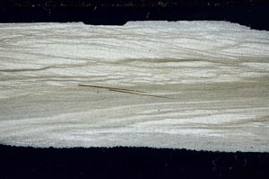 Cross Polarized, S55303