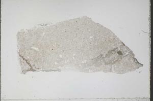 Plane Polarized, S55314