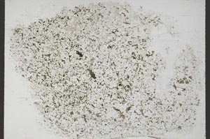 Plane Polarized, S55325