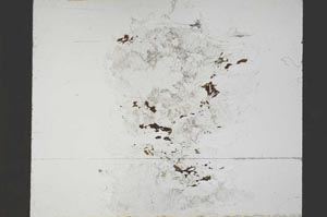 Plane Polarized, S55327/A
