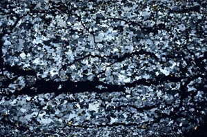 Cross Polarized, S55335