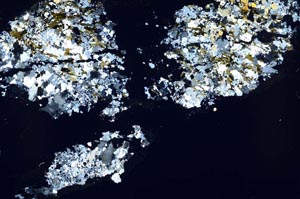 Cross Polarized, S55337/A