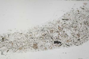 Plane Polarized, S55340