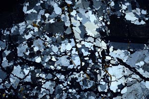 Cross Polarized, S55343