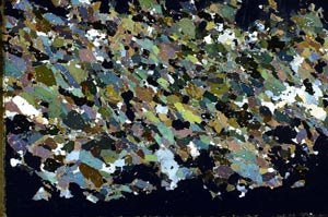 Cross Polarized, S55344
