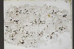 Plane Polarized, S55346