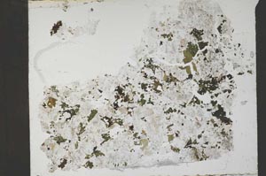 Plane Polarized, S55348