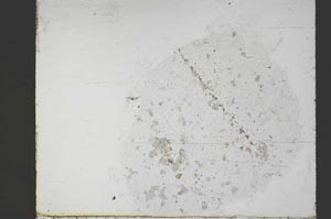 Plane Polarized, S55353