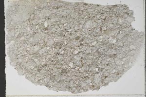 Plane Polarized, S55357