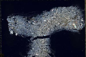 Cross Polarized, S55358