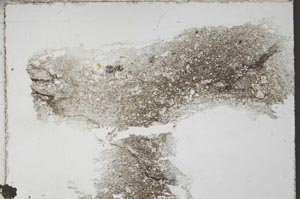 Plane Polarized, S55358