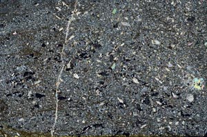 Cross Polarized, S55358/A