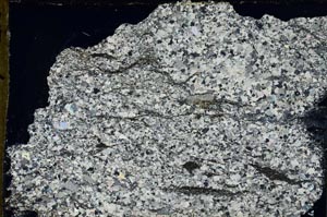 Cross Polarized, S55359