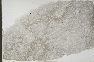 Plane Polarized, S55360