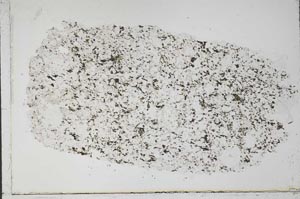 Plane Polarized, S55363